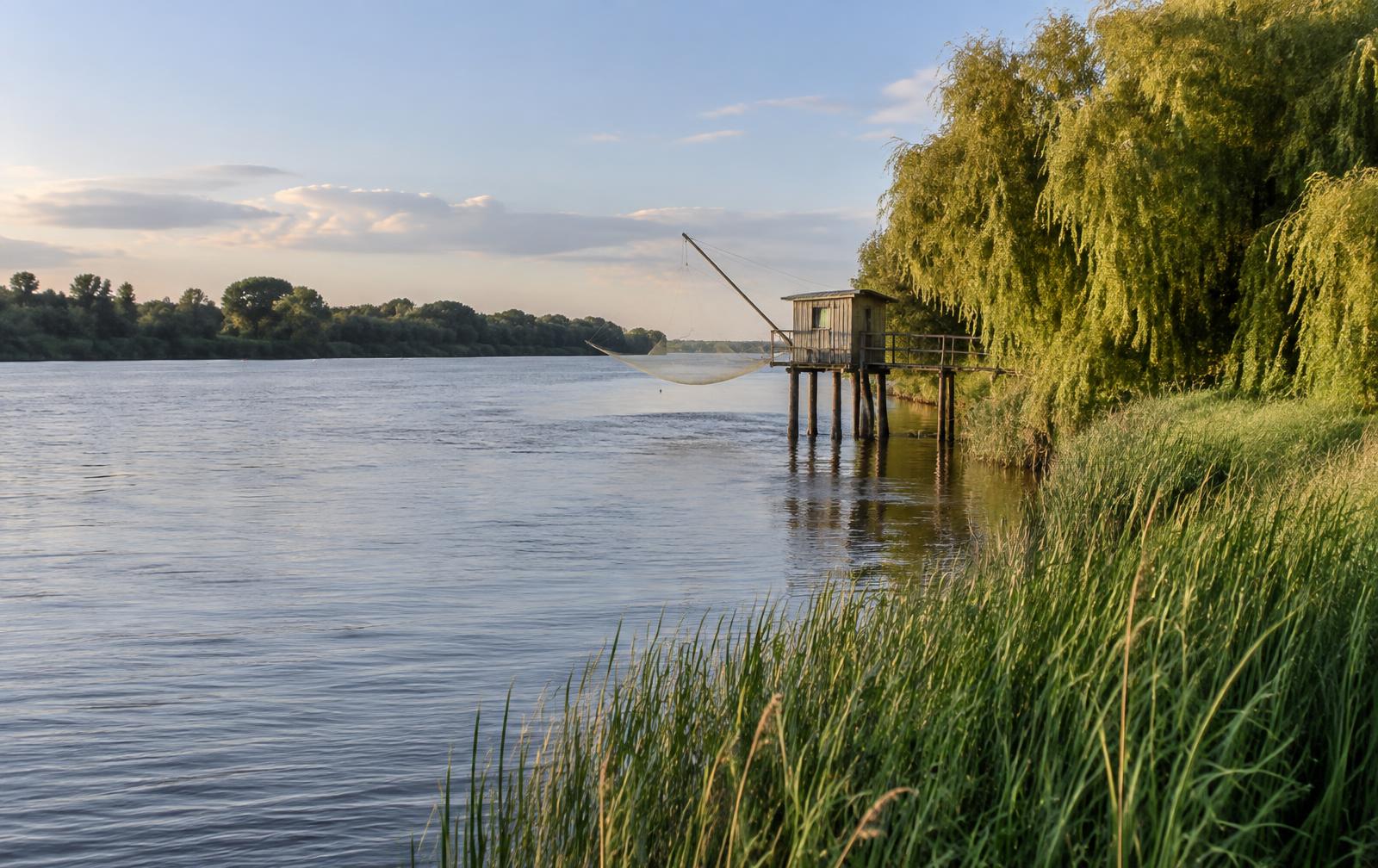Bord de Loire à Basse-Goulaine : rivière calme, saules, roselière et cabane de pêche sur pilotis