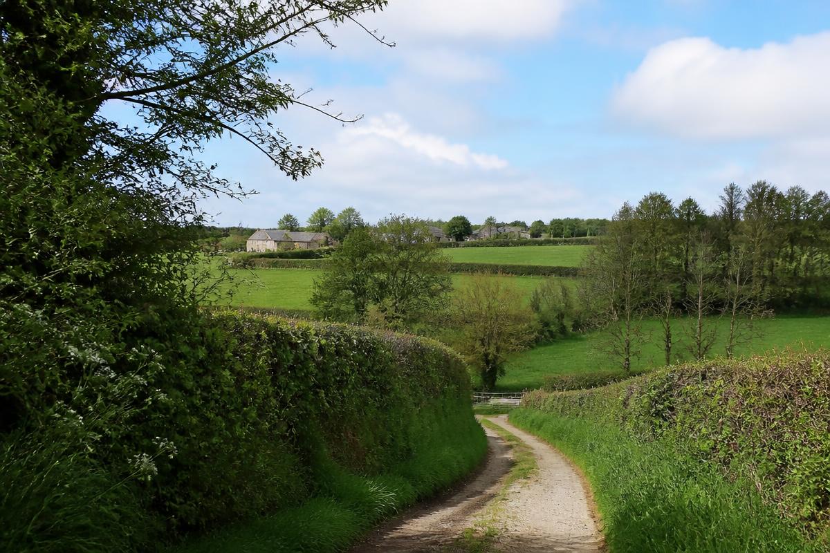 Campagne bocagère autour de Brécé : haies, prairies et chemin creux