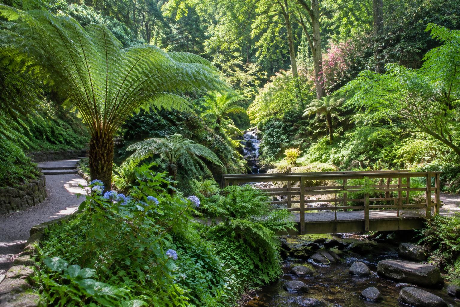 Vallon du Stang-Alar à Brest : ruisseau, arbres et allées du conservatoire botanique