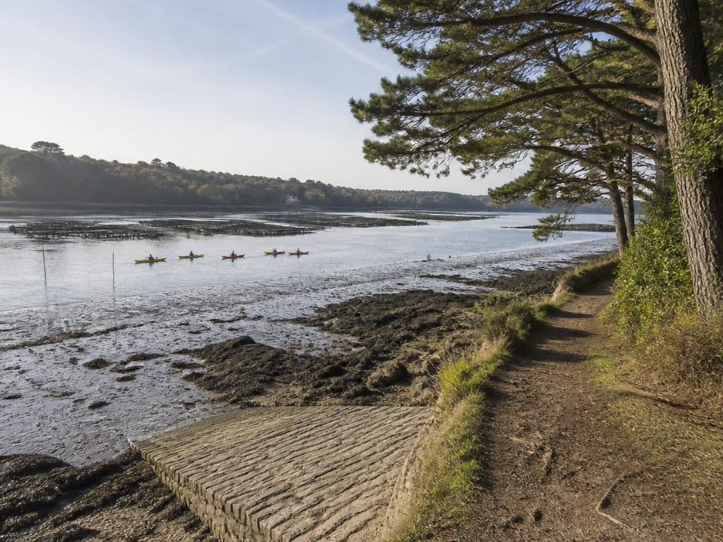 Illustration d'un sentier de rive sur l'estuaire de la Rance à marée basse, vasières, parcs à huîtres et kayaks