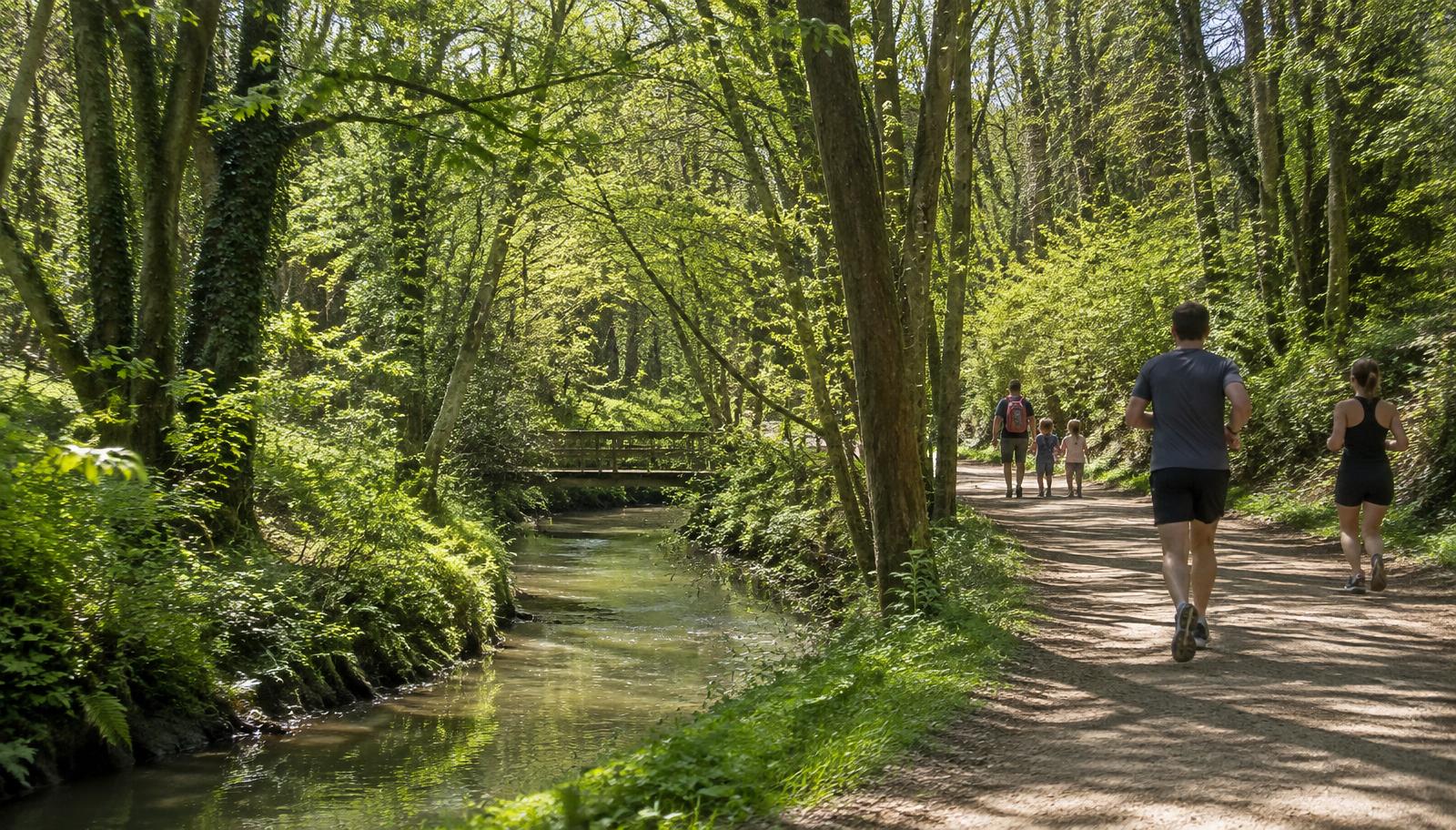 Sentier de promenade le long du Cens à Orvault : ruisseau, sous-bois lumineux, marcheurs et coureurs