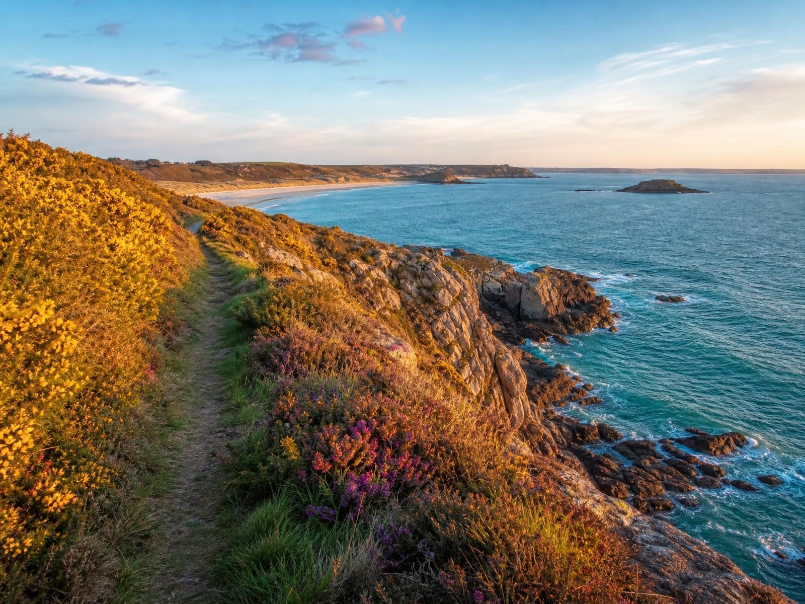 Illustration du sentier côtier vers la pointe de Pléneuf, lande rase et îlot rocheux au large