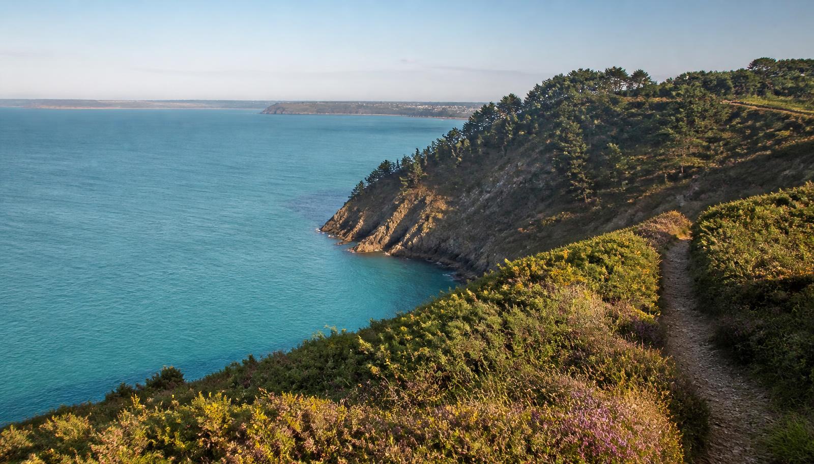 Illustration de la pointe du Roselier à Plérin : falaises boisées, sentier côtier et baie de Saint-Brieuc