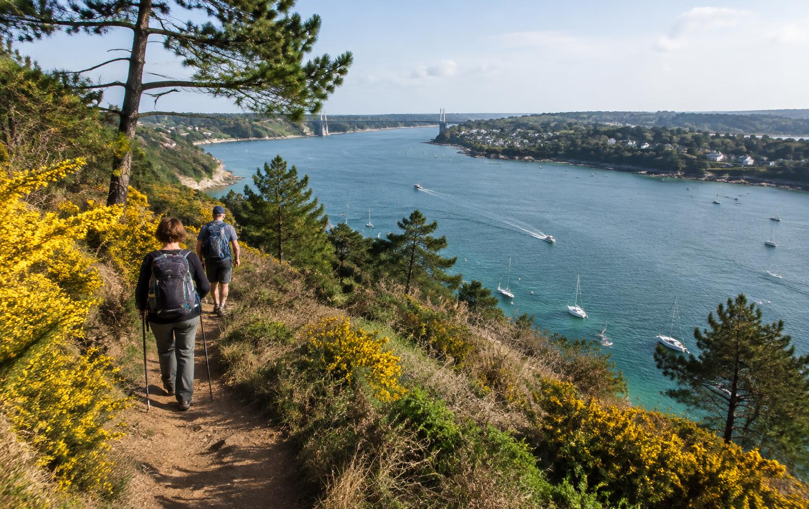 Sentier de rive le long de la Rance à Saint-Jouan-des-Guérets : vasières et coteaux boisés